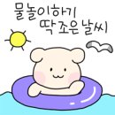 보물섬어린이집 네이버블로그