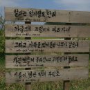 와보랑께박물관 이미지