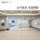 튼튼동물치과병원 | [동물 병원 인테리어]수원 눈이튼튼 동물병원 - 전문 안과 치과 동물병원
