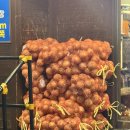 양파식당 | [대구달서구] 연말모임 10년째 단골집 양파식당 후기🧅