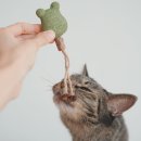 캔디캣 | 고양이 장난감 추천! 캣닢 마따따비 스트레스 해소 캣잎 용품