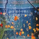 단양 아이랑 실내 가볼만한곳 다누리아쿠아리움 입장료 할인 대상 주차장 이용 후기