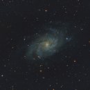 은하가스 | 230814_M33, Triangulum Galaxy (삼각형자리 은하)