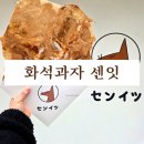 1019 | 제주 이색간식 추천🦐 제주 화석과자 센잇 내돈내산 솔직후기