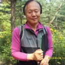자유인 이미지
