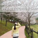 31140-8-22-5 | 당진 벚꽃건강마라톤 / 말 많았던 26년 벚꽃마라톤 5km 당진천 러닝 솔직후기
