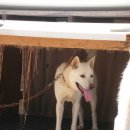 백순농장 이미지