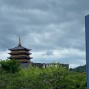 신라미소병원 이미지