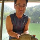 어의곡낚시터 이미지