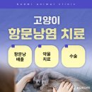 왜관동물병원 이미지