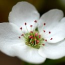 경일여자중학교 이미지