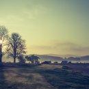 상주보 오토캠핑장 이미지