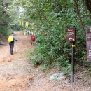 에코새싹유치원 이미지