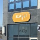 브리들리 | 화성 남양 애견미용 비숑미용전문 브리들리 (구 본오동 마이아지) 내돈내산 솔직후기