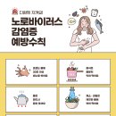 바이러스 이미지