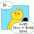 VS스킨케어