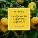 필라테스스튜디오좋은아침 네이버블로그