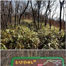통명산 이미지