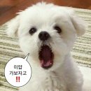 베드스테이션 | 컨딩에서 가오슝 가는 방법 정리｜카인드니스 호텔 가오슝 메인 스테이션 숙박 후기