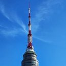 남산공원길 이미지