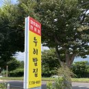 카카오 이미지