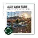 [블챌] 11월4주차 소소한 일상(가족/크리스마스/LG아트센터/월드컵)
