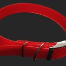 제이제이펫 이미지