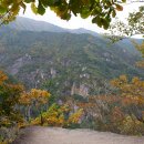 2025-11-17 이미지