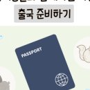 나무동물병원 이미지