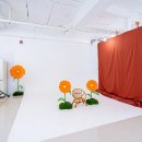 글로시스튜디오 네이버블로그