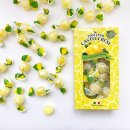 사탕이네 이미지