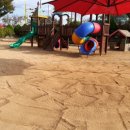 신녕초교병설유치원 이미지