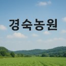 경숙 | 안녕하세요 경숙농원입니다.