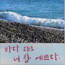 해파랑길11코스『나아해변~감포항』ㅡ약 6키로는 차량으로 이동했다 이미지