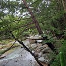 사선대황토펜션 이미지