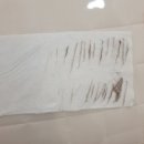 후광미인 이미지