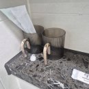 테리비어 | (여수여행) 호야스테이 애견동반가성비 숙소 솔직후기│첫 펫프렌들리 호텔 이용 리뷰