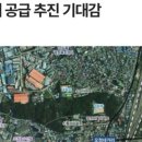 대지샾 이미지