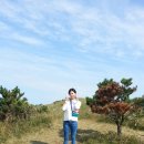 보영목장 Daum카페