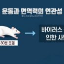 플렉스스튜디오 이미지