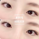 에드래쉬