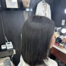 유라임 이미지