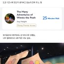 상하이 디즈니랜드 위니 더 푸 타는 눈아 없게 해주세요.. 이미지