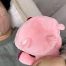 두정중11길10 | 천안왁싱_두정동 로로룸(통증적은 브라질리언왁싱 추천)