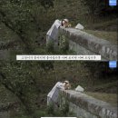 미양마늘보쌈집 네이버블로그