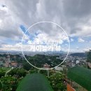 죽림3로 | 달랏 죽림사원 + 케이블카 코스 (힐링 여행 제대로 느낀 후기)