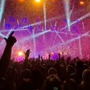콘서트 티스토리