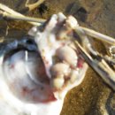 환희1리 이미지