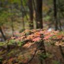 윤혜리정신건강의학과의원 이미지