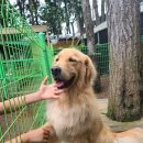 연두목장 이미지